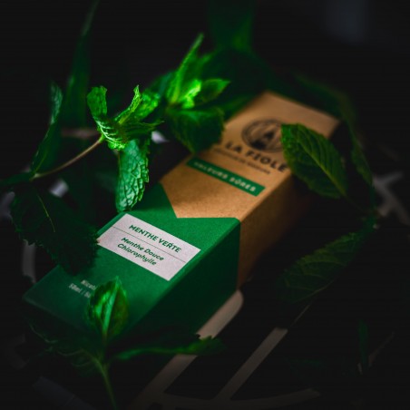 Photos décoration de comptoir ou murale 30cm x 30cm (fixations fournies)